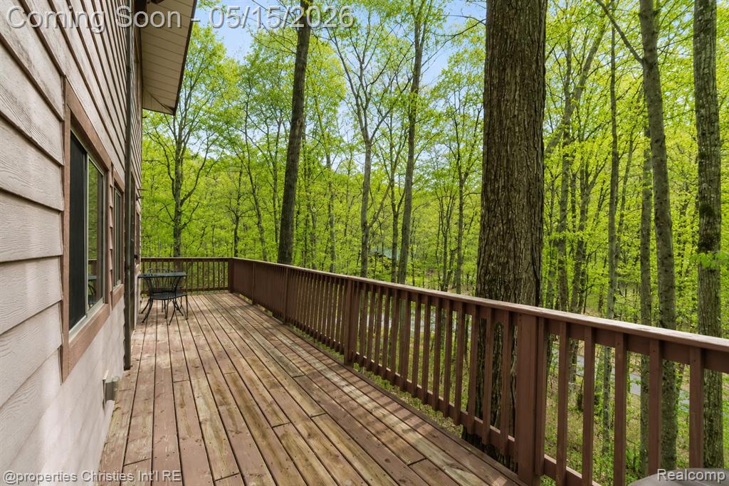 4001 Deskin Drive, Bellaire, MI 49615 — Photo 5