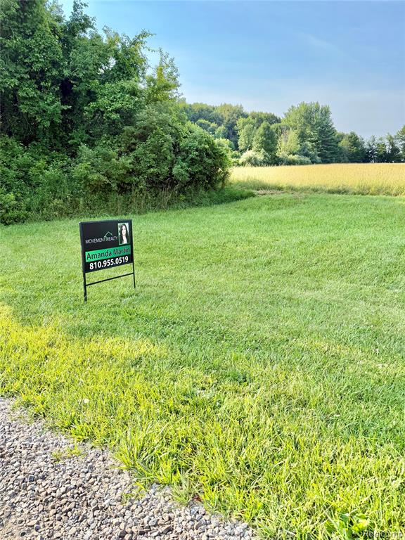 0070102220 Meadow Lane, Dryden, MI 48428 — Photo 2