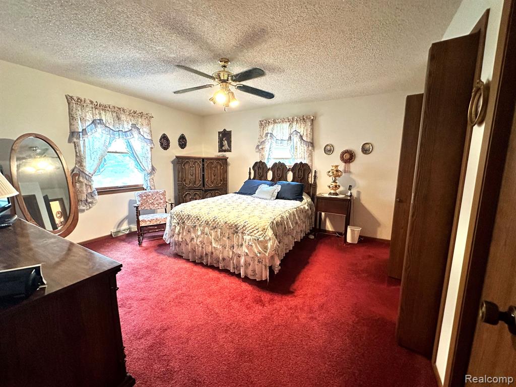6111 5TH Street, Mayville Vlg, MI 48744 — Photo 13