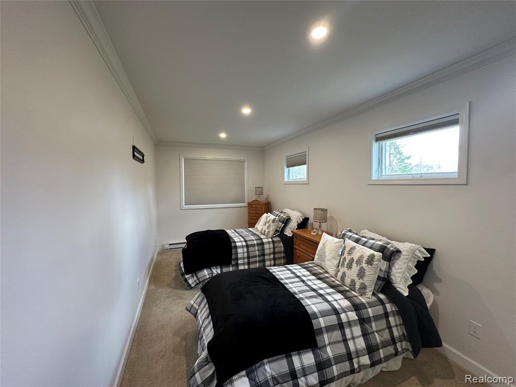 7726 Lake Street, Alanson, MI 49706 — Photo 24
