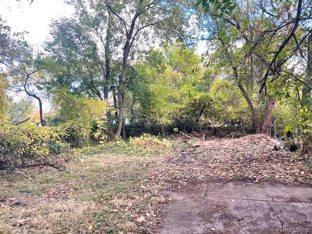 12900 Faust Avenue, Detroit, MI 48223 — Photo 16