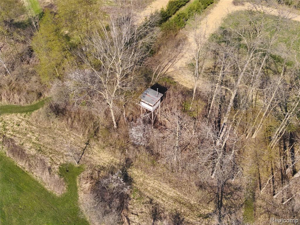 5785 Layton Road, Fowlerville, MI 48836 — Photo 71