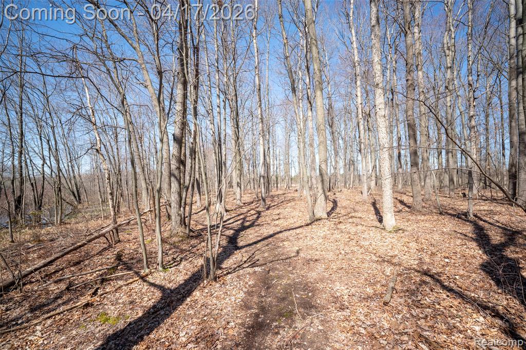 825 W Rose Center Road, Holly, MI 48442 — Photo 13