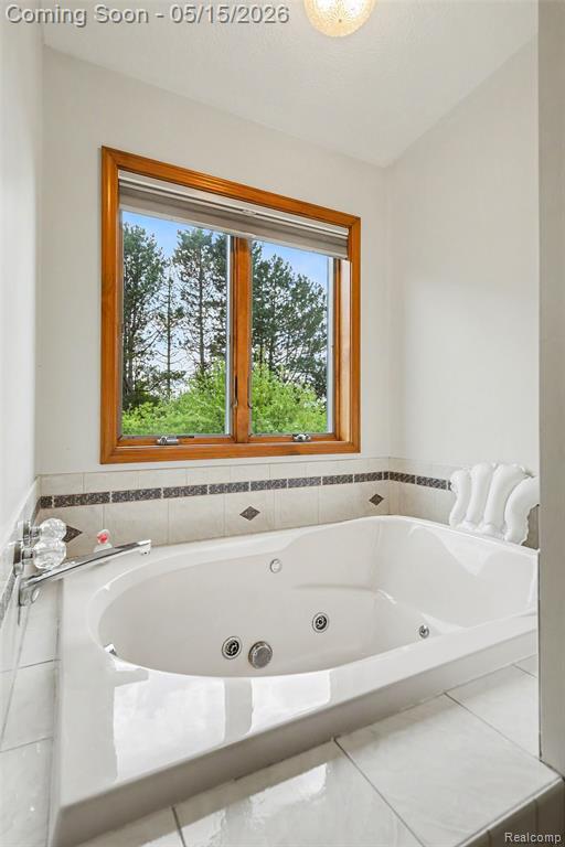 7700 N Dewitt Road, MI 48879 — Photo 12