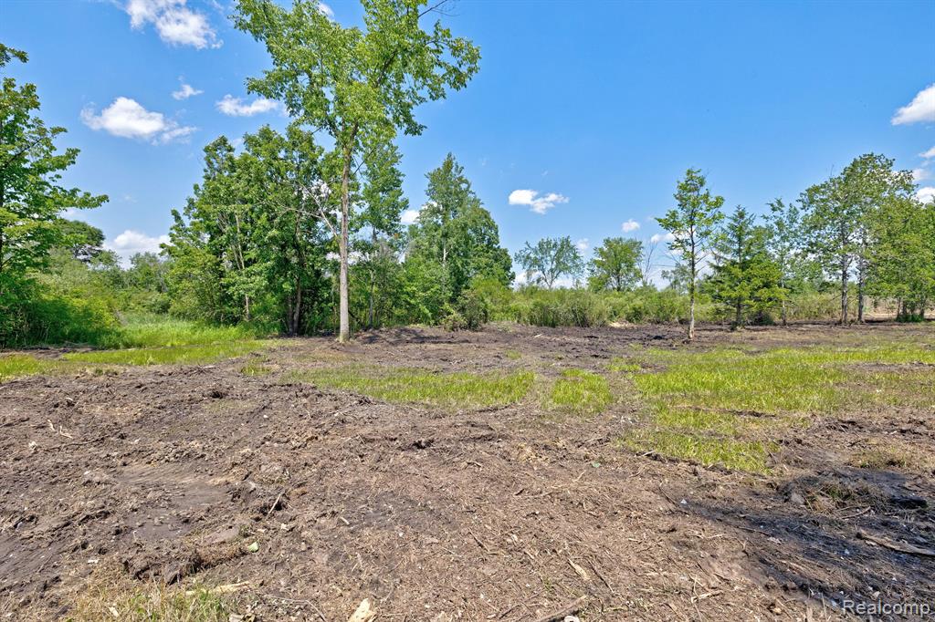 Vacant Land Brandt Road, Ortonville, MI 48462 — Photo 29