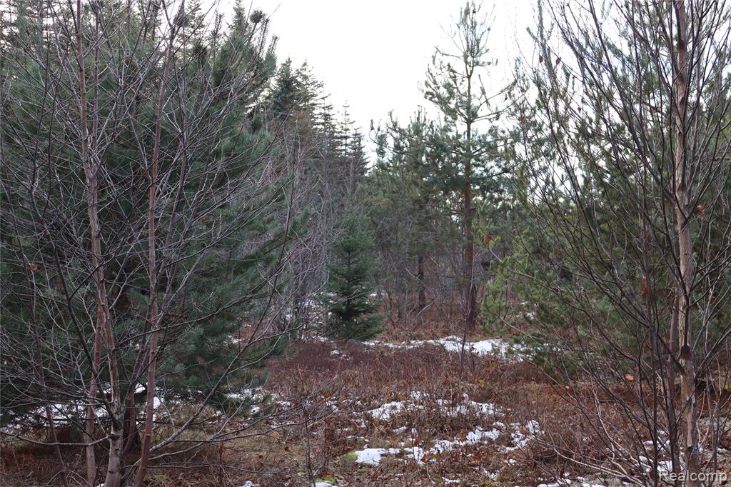 #A W Pendills Lake Road, Brimley, MI 49715 — Photo 44