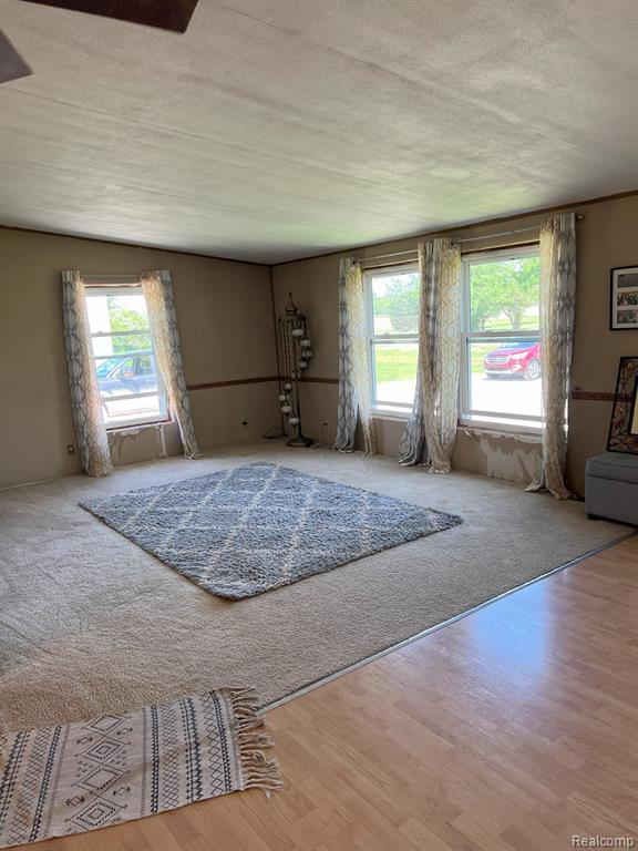 12075 PEET Road, Chesaning, MI 48616 — Photo 3