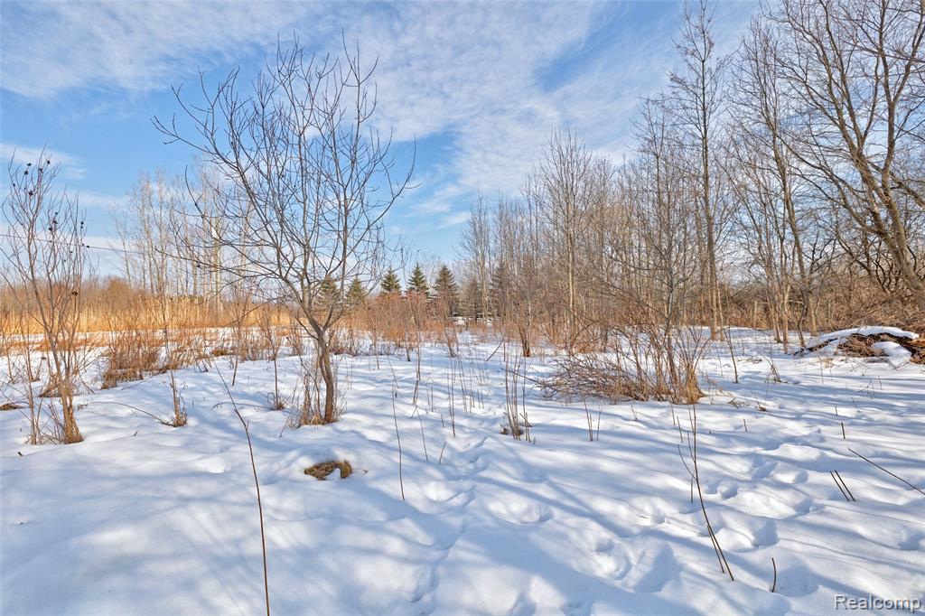 1717 S Sashabaw Road, Ortonville, MI 48462 — Photo 5