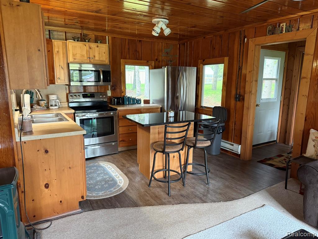 4348 N Shrew Road, Lincoln, MI 48742 — Photo 8