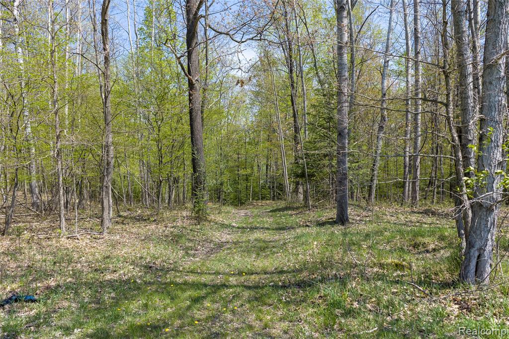 4180 Sage Lake Road, Lupton, MI 48635 — Photo 37
