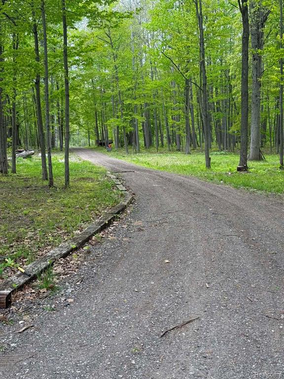 5994 N Lake Sanford Road, Sanford, MI 48657 — Photo 30
