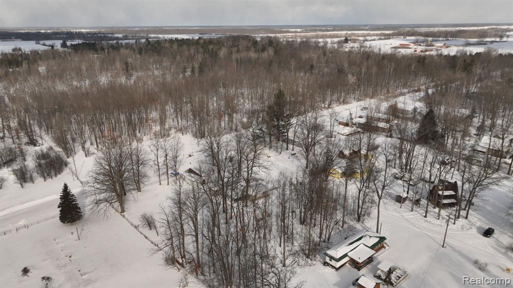 4260 S Lake Drive, Prescott, MI 48756 — Photo 48
