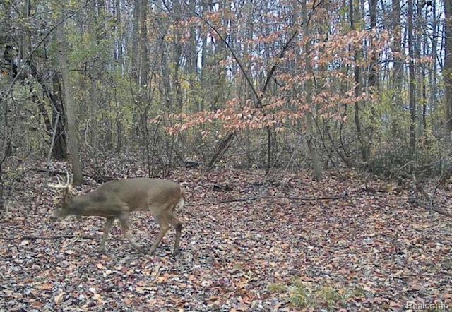 VL Grand Blanc Road, Swartz Creek, MI 48473 — Photo 13