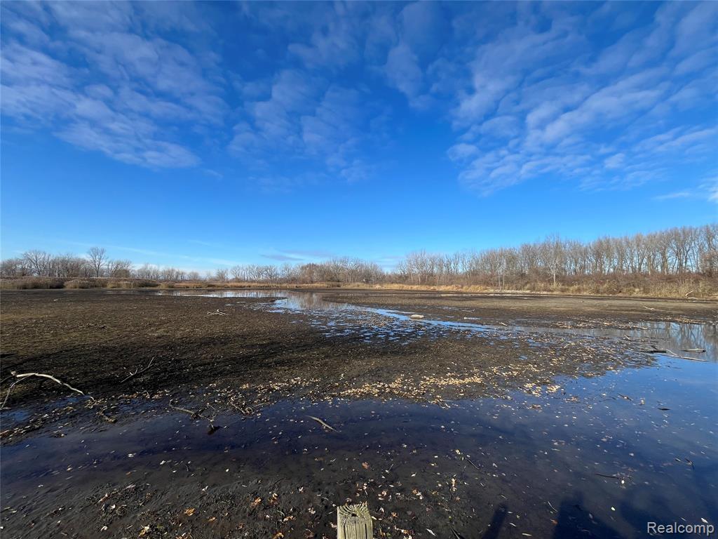 35754 Erie Drive, Brownstown, MI — Photo 17