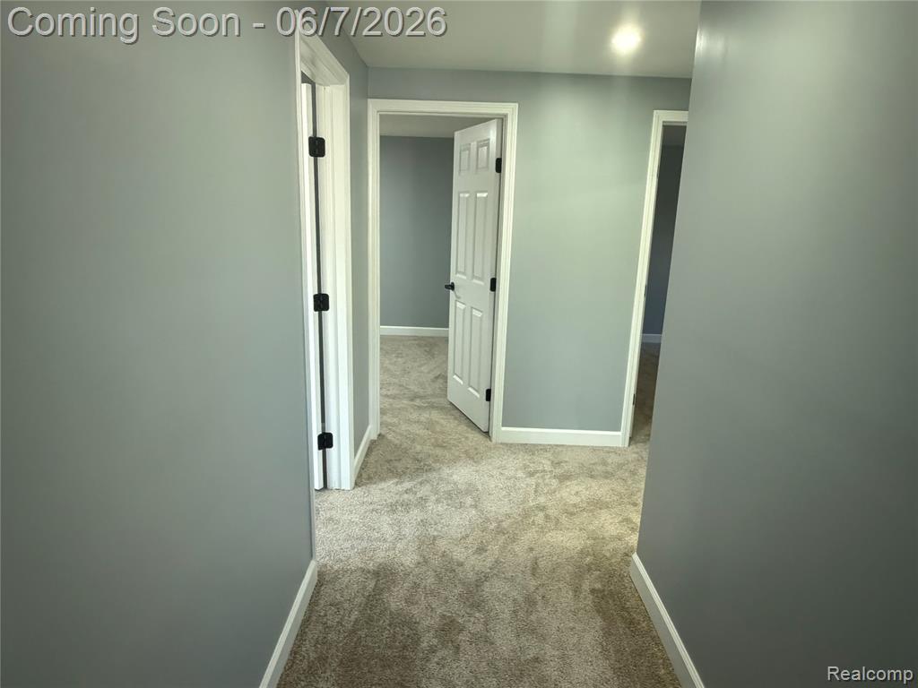 20698 Coachwood Road, Riverview, MI 48193 — Photo 23