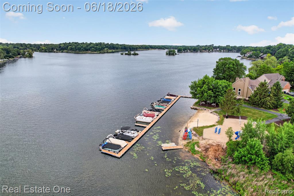 475 Court Lane, Howell, MI 48843 — Photo 49