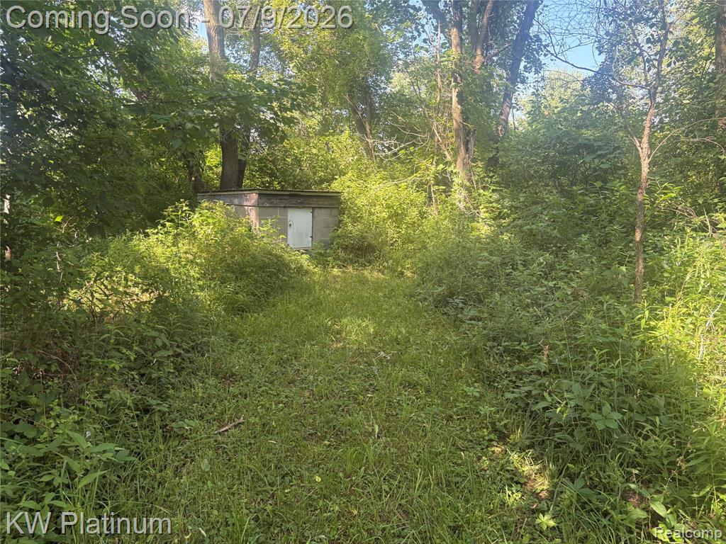 7280 North Road Road, Burtchville, MI 48059 — Photo 39
