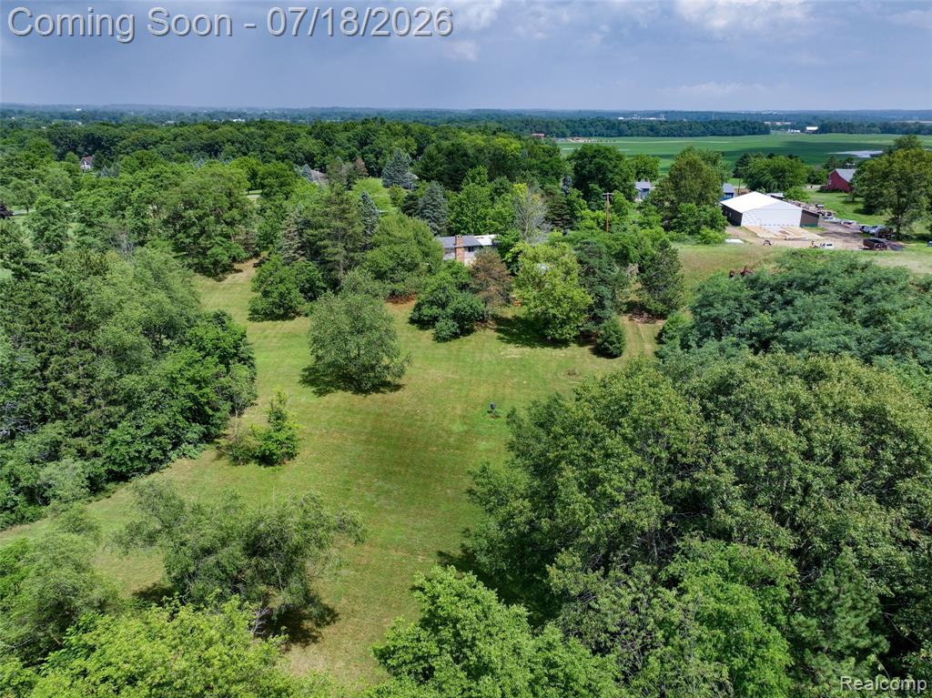 9550 Kies Road, Manchester, MI 48158 — Photo 42