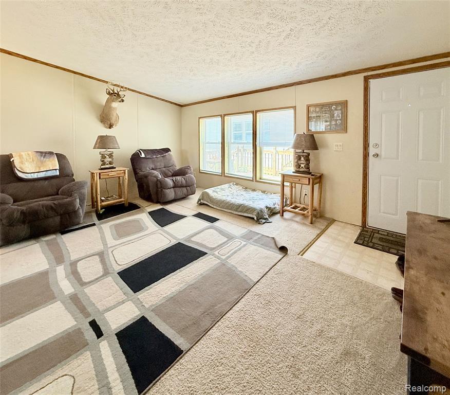 293 Westfield Drive, Erie, MI — Photo 5