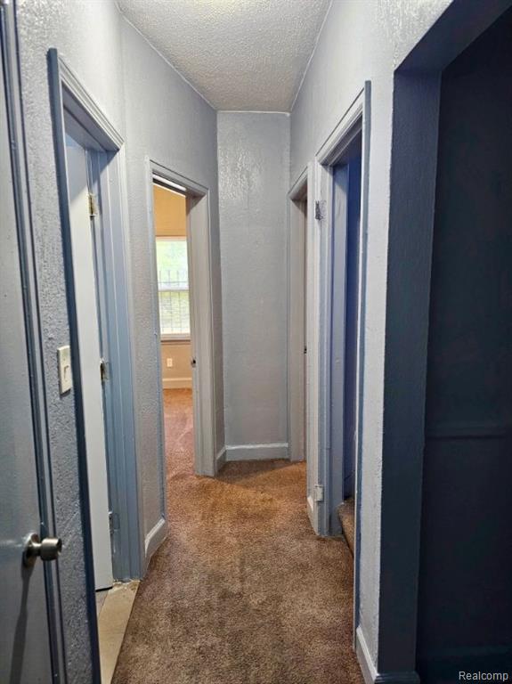 9930 BALFOUR Road, Detroit, MI 48224 — Photo 5