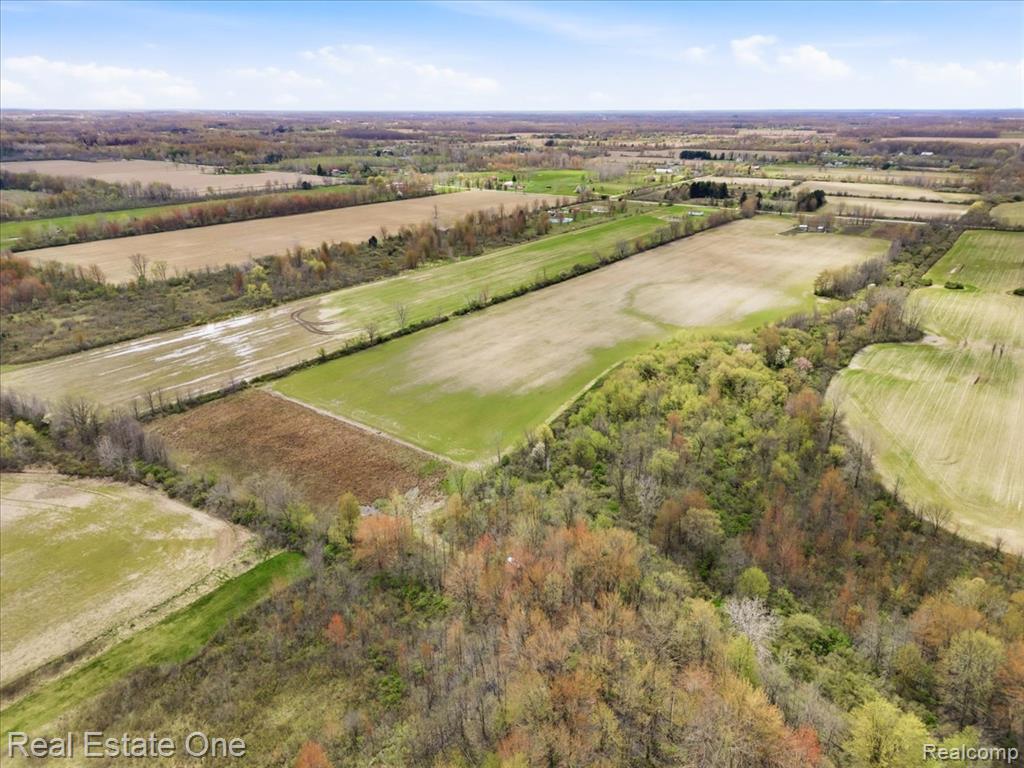 2320 Braidwood Road, Riley, MI — Photo 6