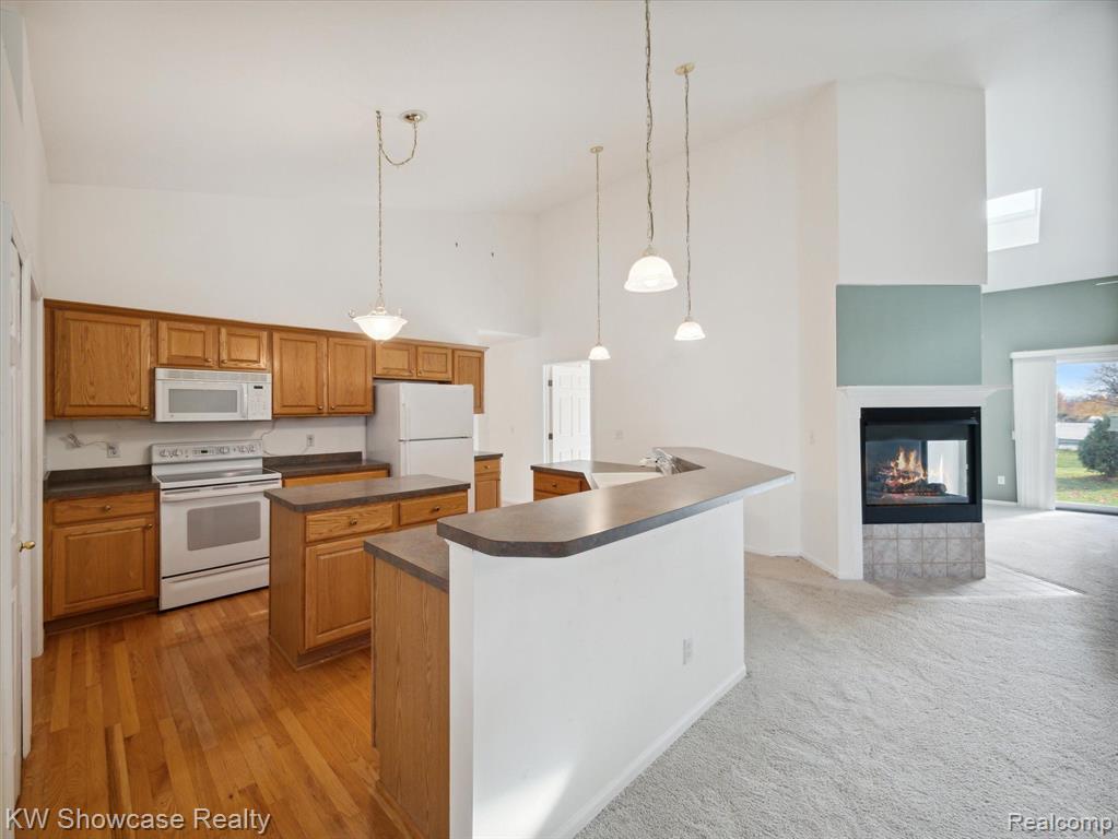 61011 EVERGREEN, South Lyon, MI 48178 — Photo 15