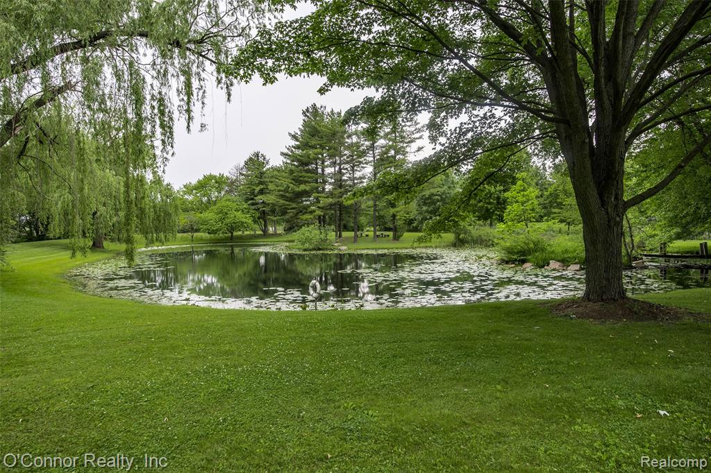 4304 Church Road, Casco, MI 48064 — Photo 11