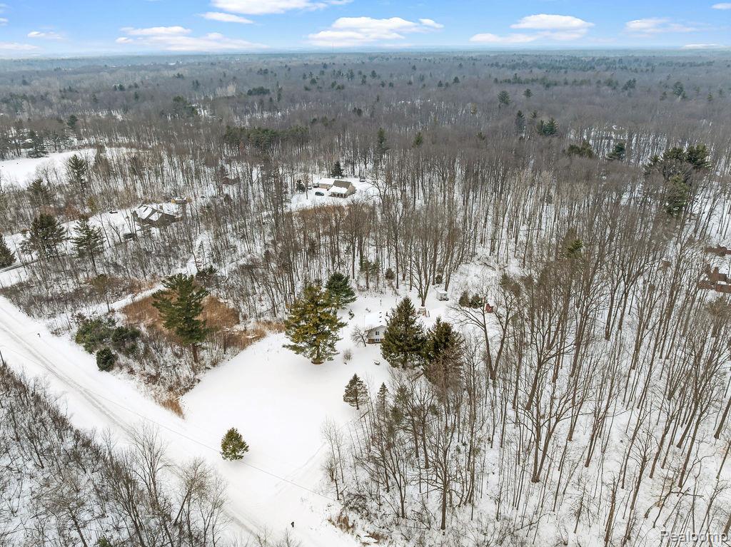 6318 Rynn Road, Clyde, MI 48049 — Photo 40