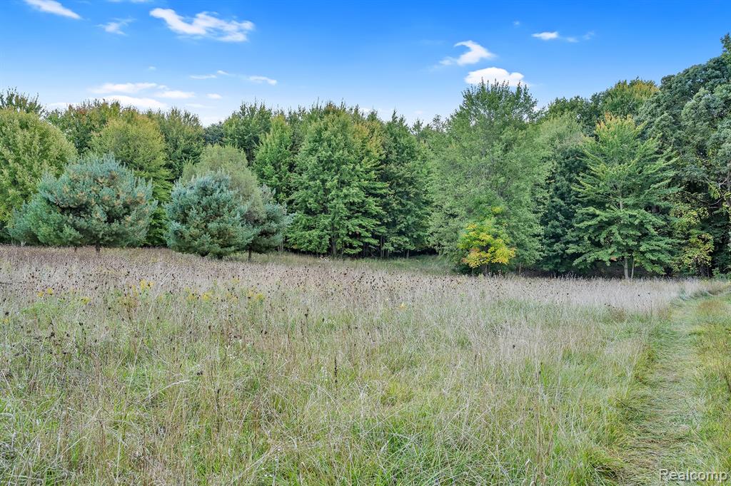 8264 Wilson Road, Otisville, MI 48463 — Photo 13