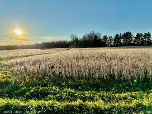 14235 WANTY Road, Milan, MI 48160 — Photo 2