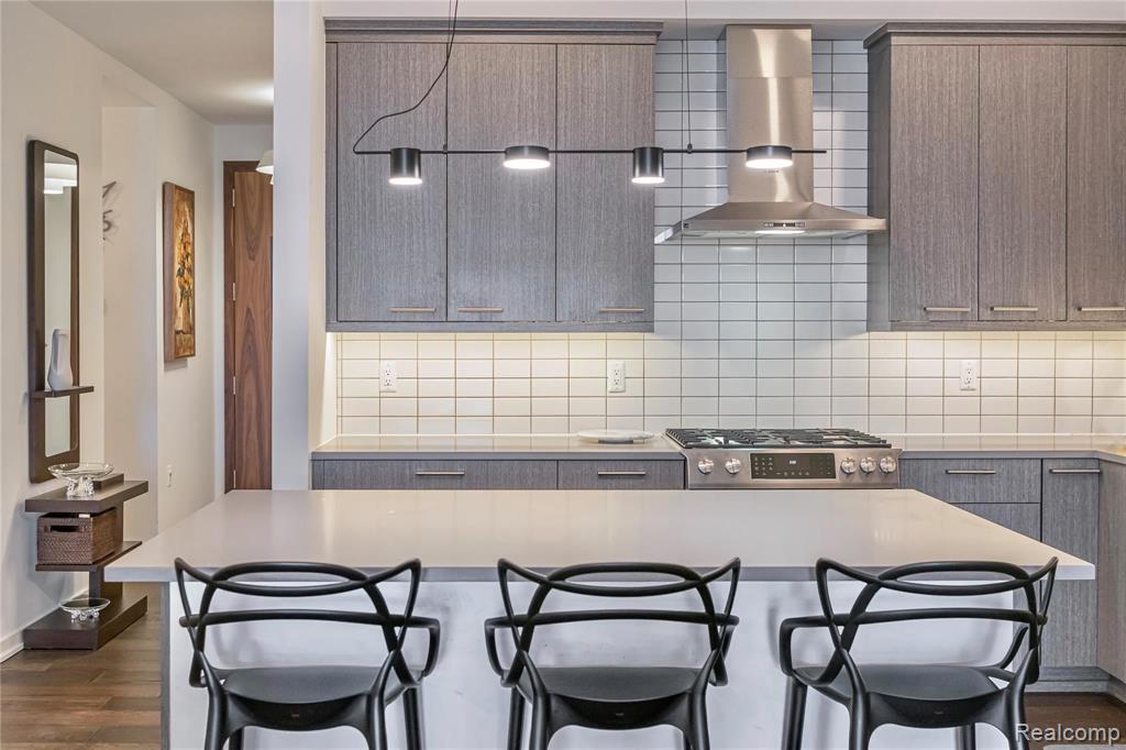 750 FOREST AVE, 502, Birmingham, MI 48009 — Photo 10
