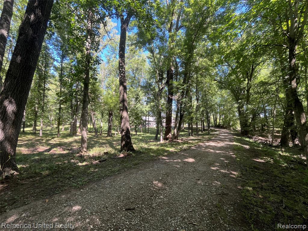 6160 Brambleberry Lane, Cohoctah, MI 48855 — Photo 50