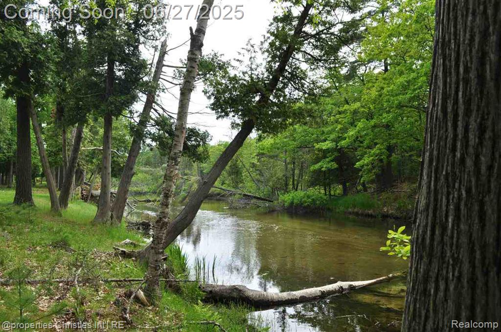 3 Millside, Glen Arbor, MI 49636 — Photo 4