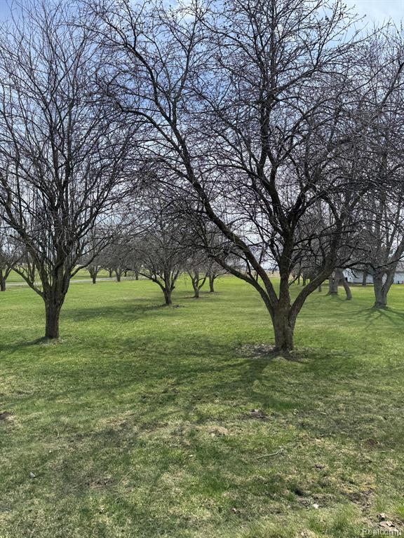 7188 Reid Road, Swartz Creek, MI 48473 — Photo 41