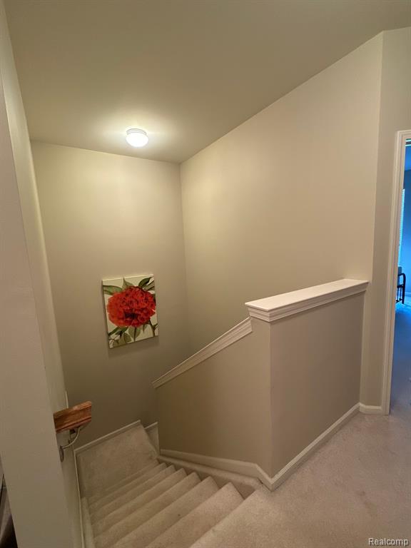 10258 CROSSVIEW Trail, Howell, MI 48855 — Photo 13