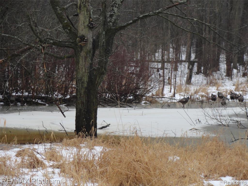 3396 E BALDWIN Road, Grand Blanc, MI 48439 — Photo 15