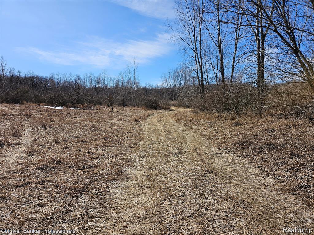 0 Jamestown Drive, Metamora, MI 48455 — Photo 18