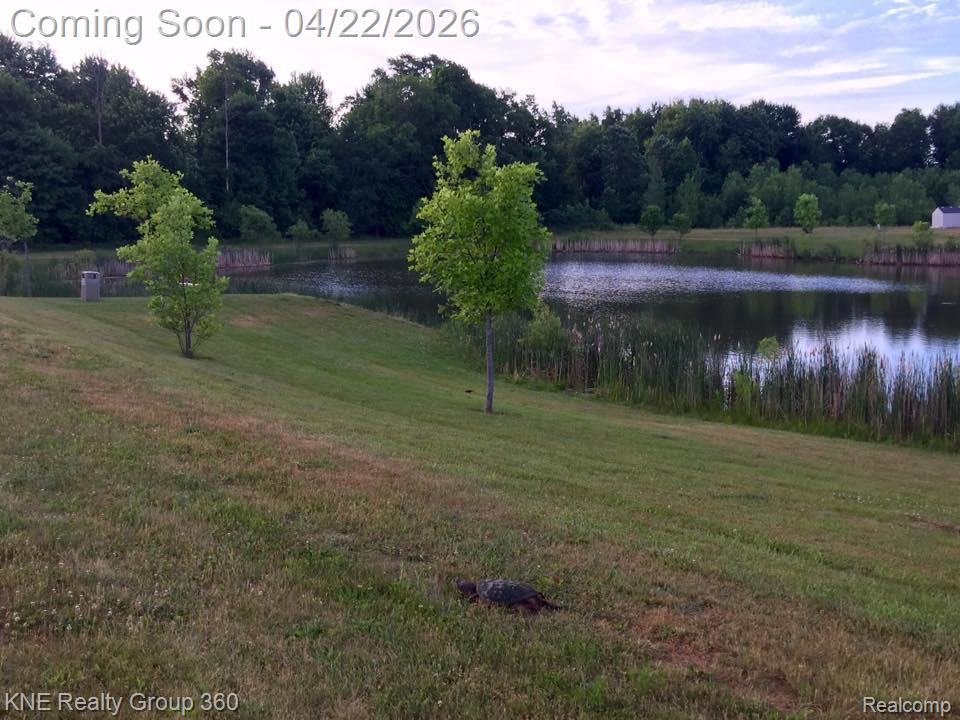 2743 Au Gres River Drive, Fowlerville, MI, 48836