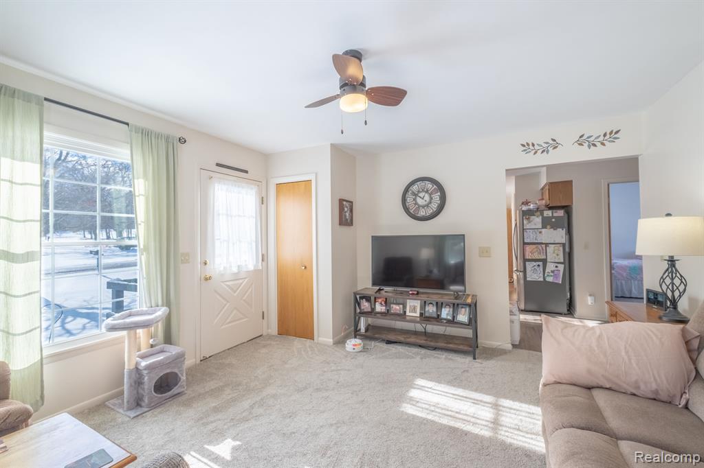 715 E TURNER Street, Mayville Vlg, MI 48744 — Photo 10