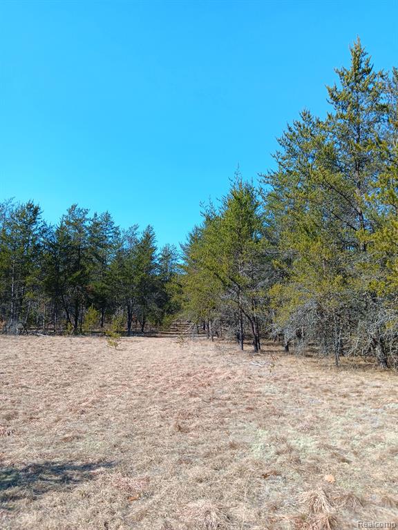 0000 Cedar Creek Road, Wellston, MI, 49689