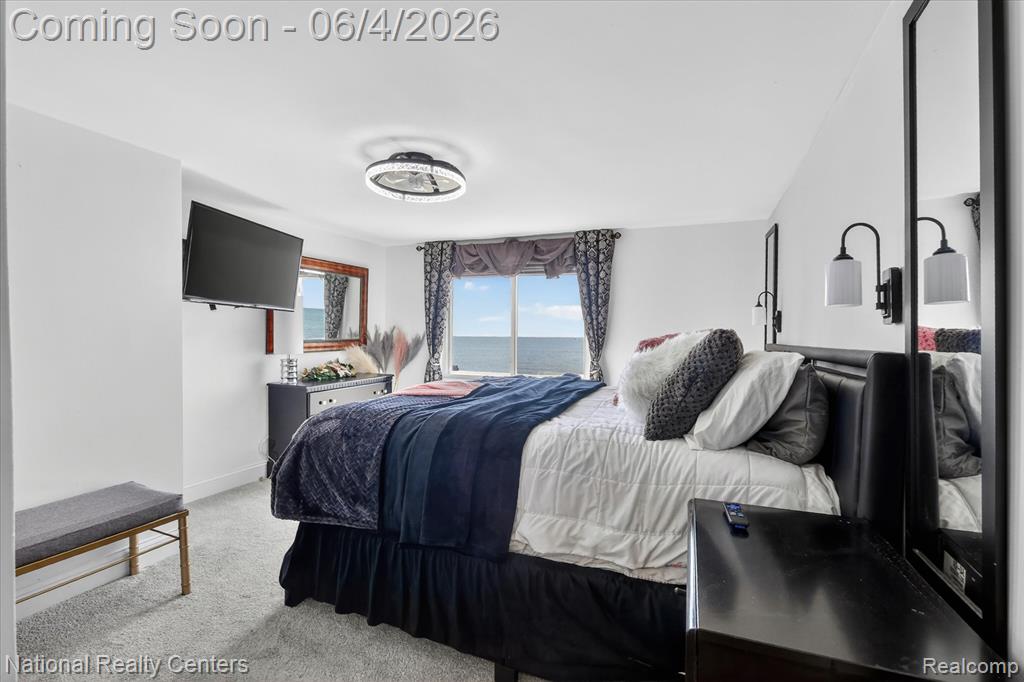3946 Lakeshore Drive, Newport, MI 48166 — Photo 33
