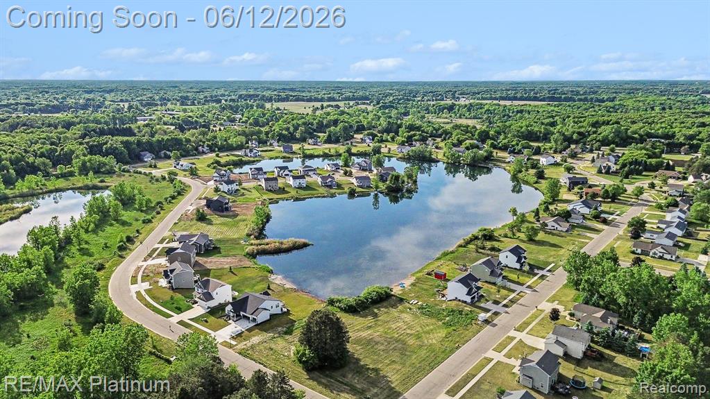 603 LAND BRIDGE, Perry, MI 48872 — Photo 33