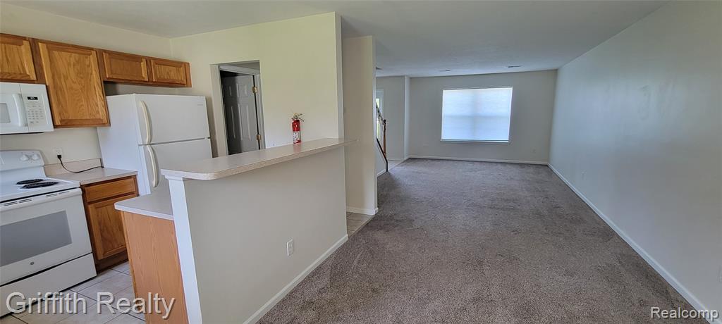 806 Cattail Lane, Pinckney, MI 48169 — Photo 4