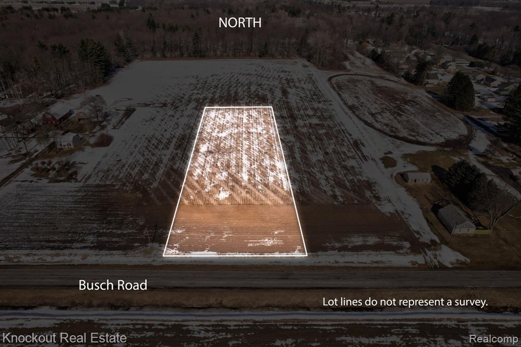 VL Busch (Parcel B) Road, Birch Run, MI 48415 — Photo 2