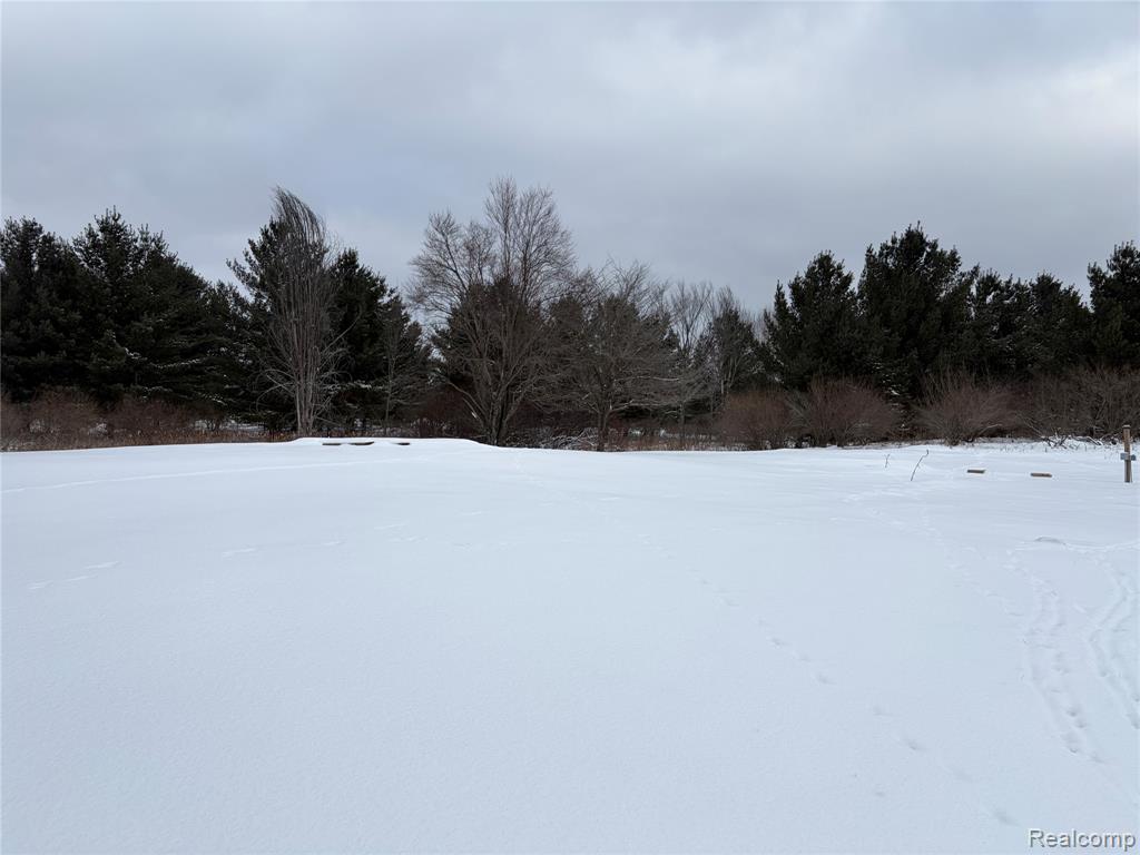 5467 Wellington, Gladwin, MI 48624 — Photo 4