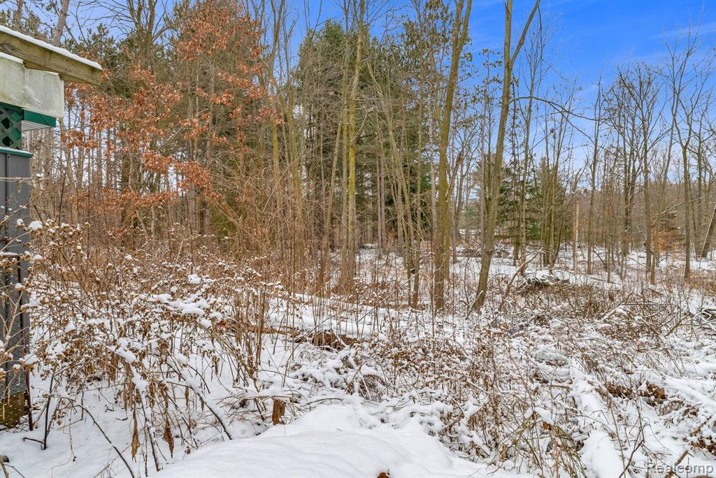 4713 BROWN Road, Kenockee, MI 48006 — Photo 51