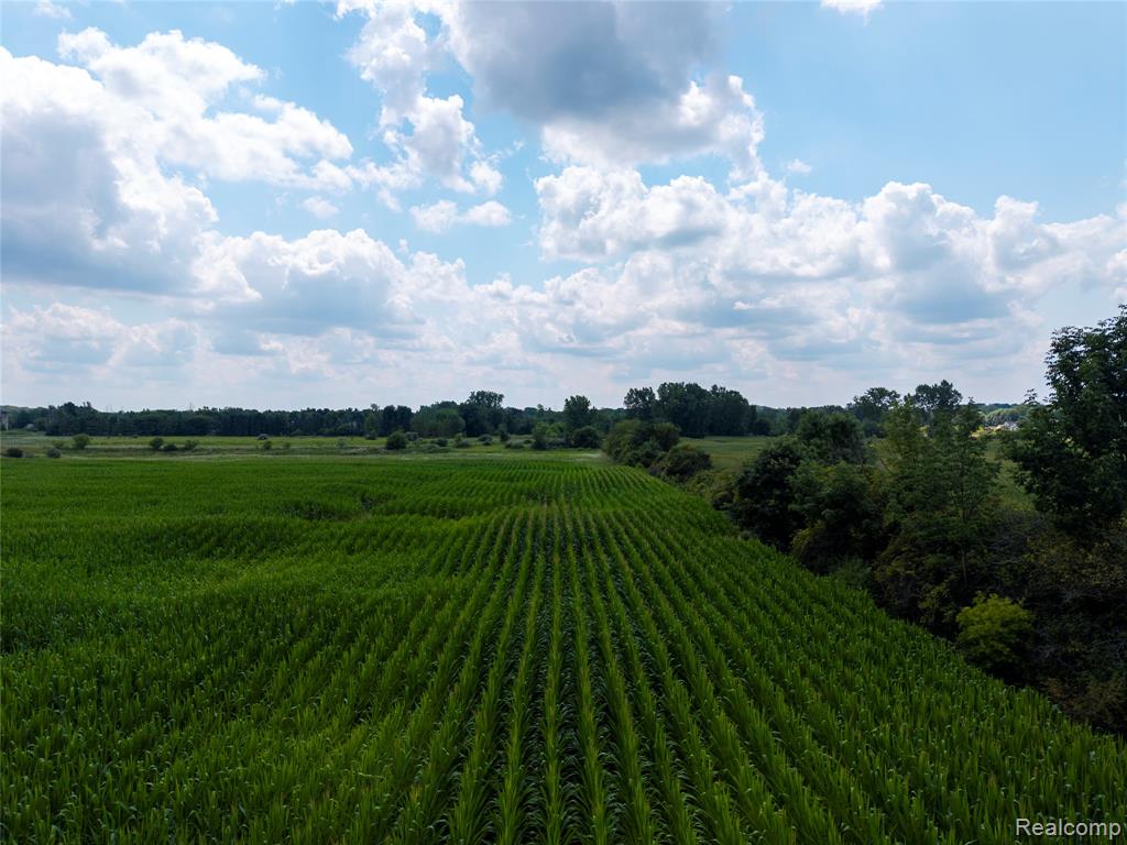 VL Sharp Road, Swartz Creek, MI 48473 — Photo 27