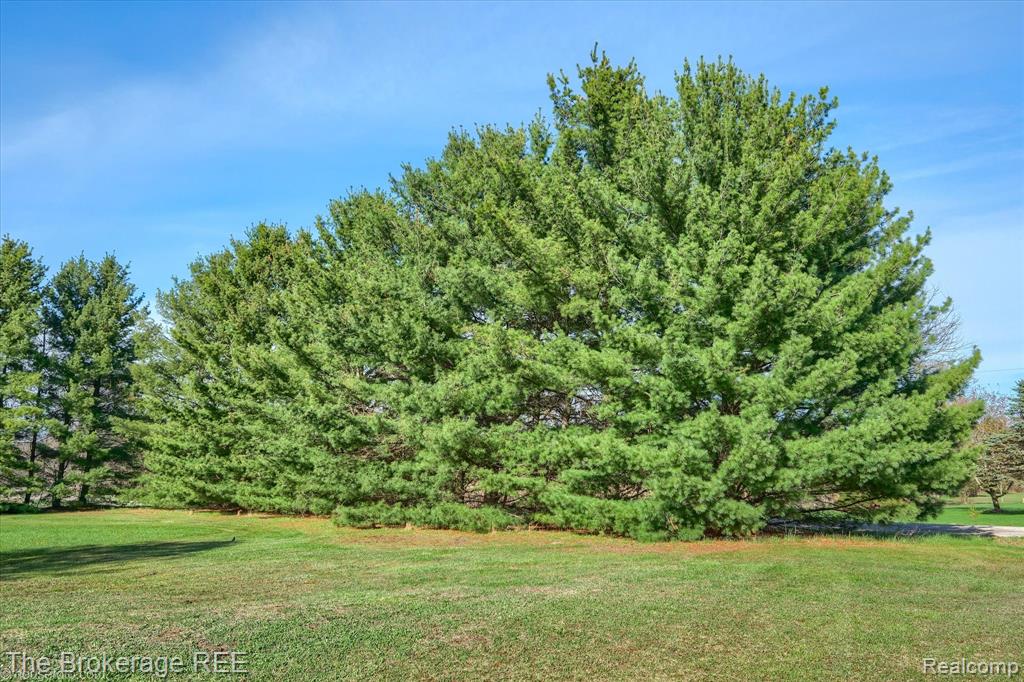 14445 Harris Road, Millington, MI 48746 — Photo 47