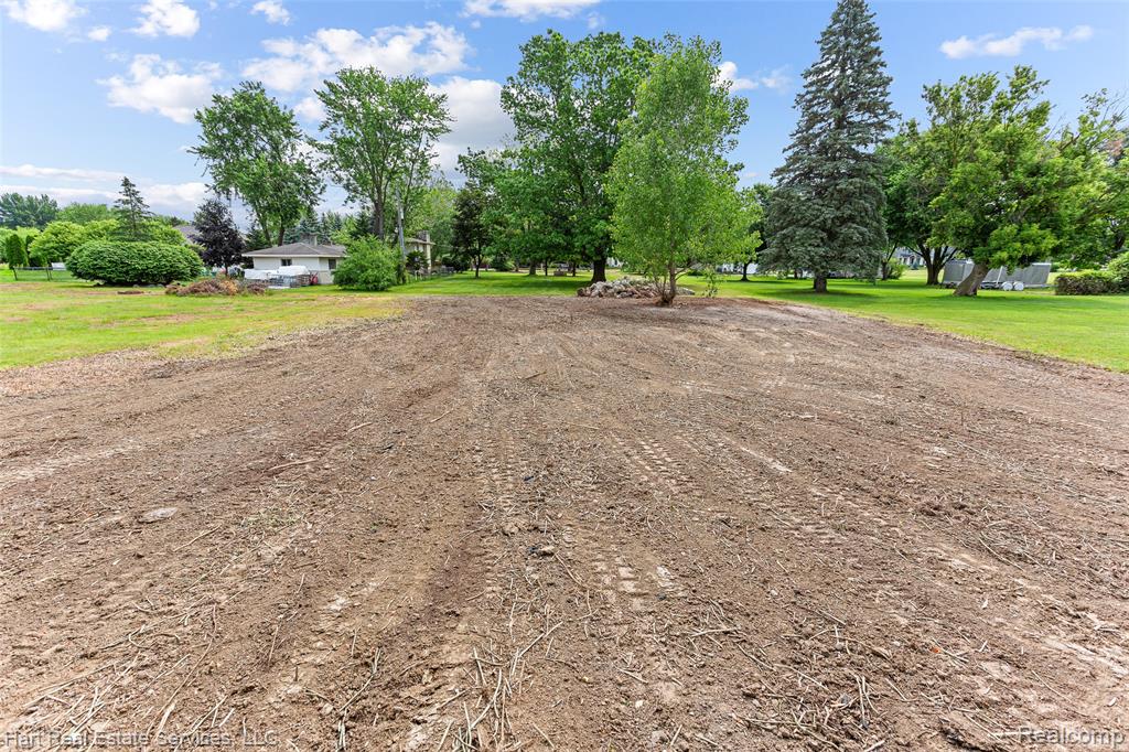9013 Canton Center Rd, Plymouth, MI 48170 — Photo 6