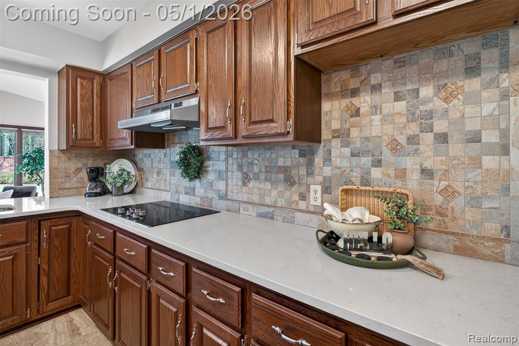4359 Birch Run Drive, Troy, MI 48098 — Photo 17